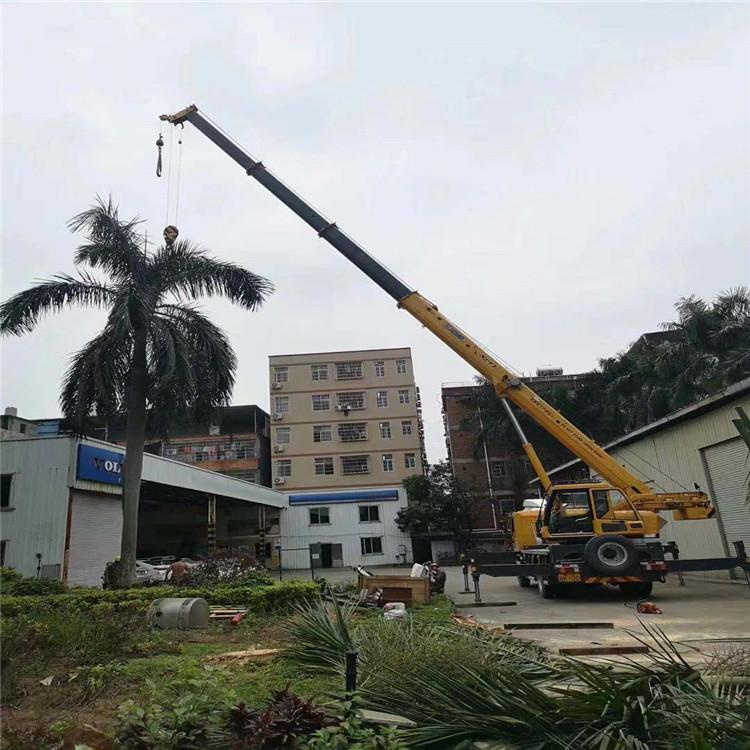 北流吊车吊大树几种方法